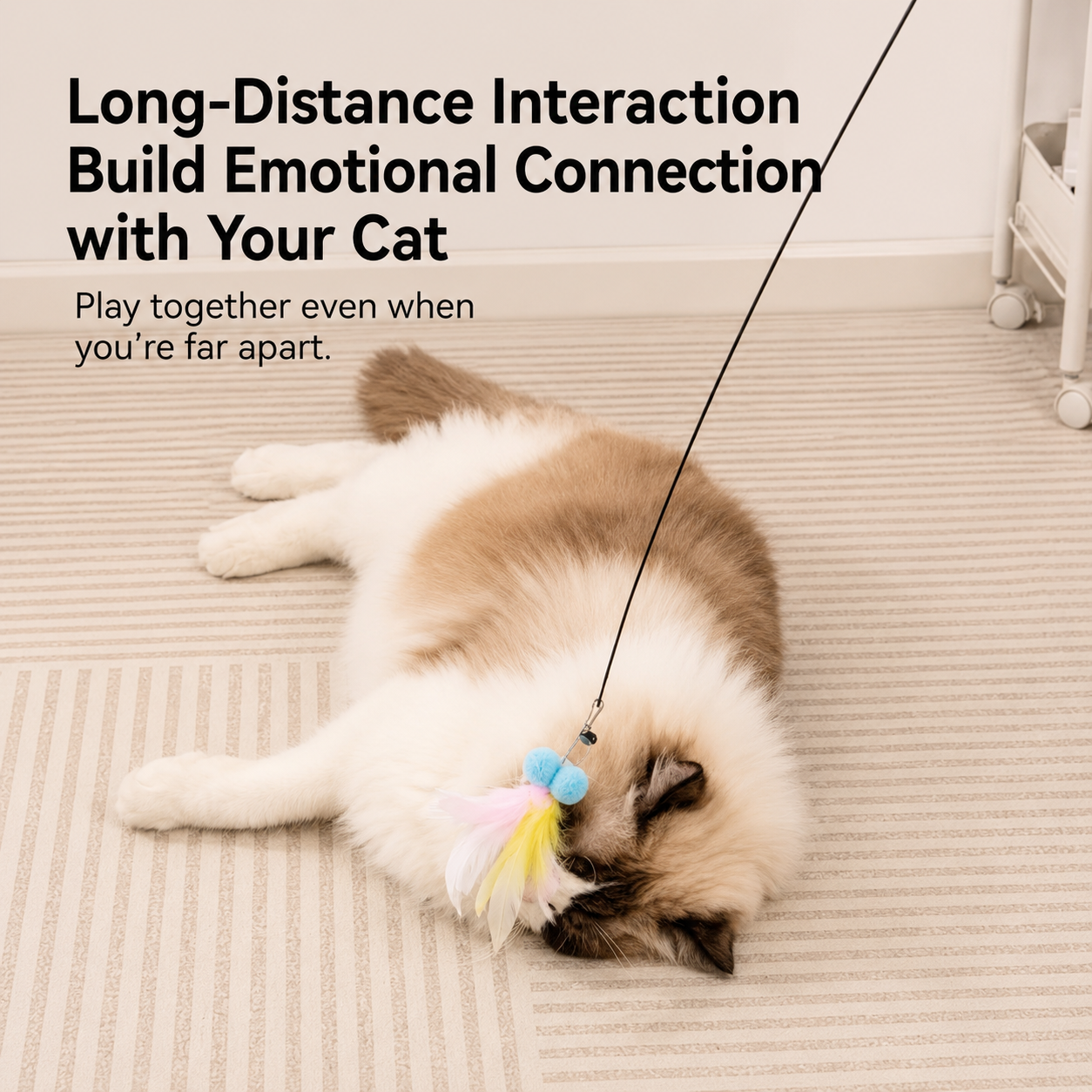 Interactive Cat Teaser Wand Toy with Feather Refill